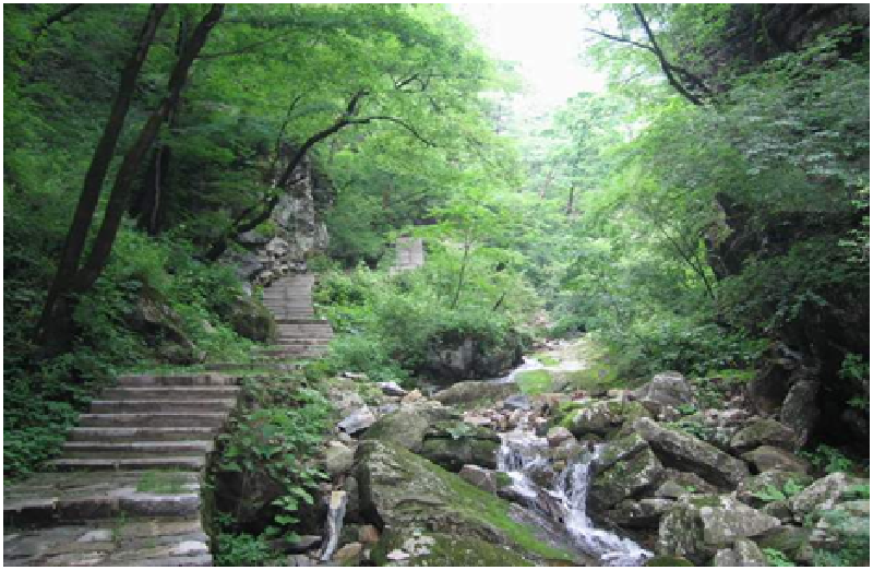 北京_世纪森林公园_旅游攻略_最新北京旅游资讯_途牛旅游网