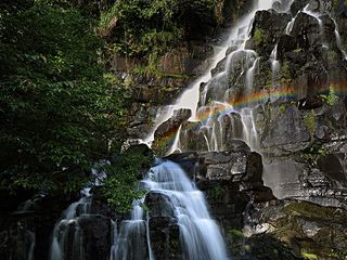 蒙山县