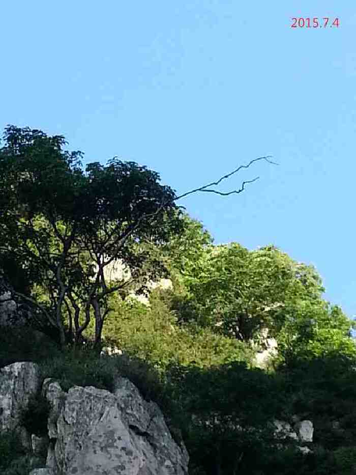 【我九岁夜登泰山,观三孔】