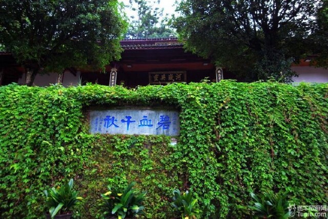 【腾冲休闲攻略】腾冲旅游攻略gateofmemories之旅图片