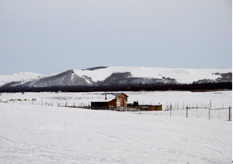 冬季内蒙古旅游_什么时间去内蒙古旅游最好_
