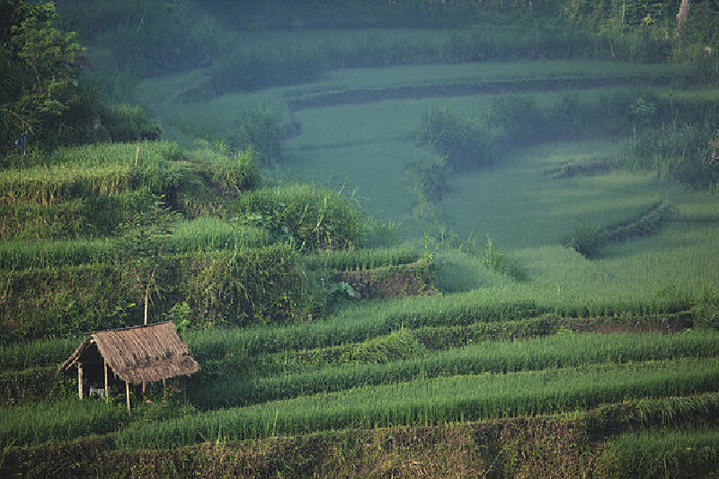 巴厘岛乌布酒店简介_建造特点建造特点介绍_