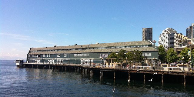 西雅图水族馆风景图片