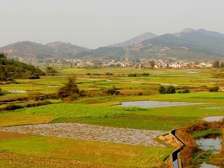 鹿寨县