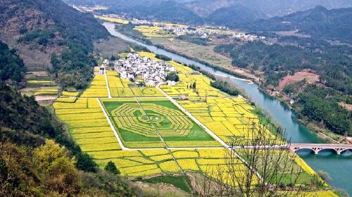 <西递-木坑竹海-卢村油菜花-屯溪老街-齐云