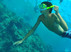 澳大利亚凯恩斯大堡礁潜水游轮之旅