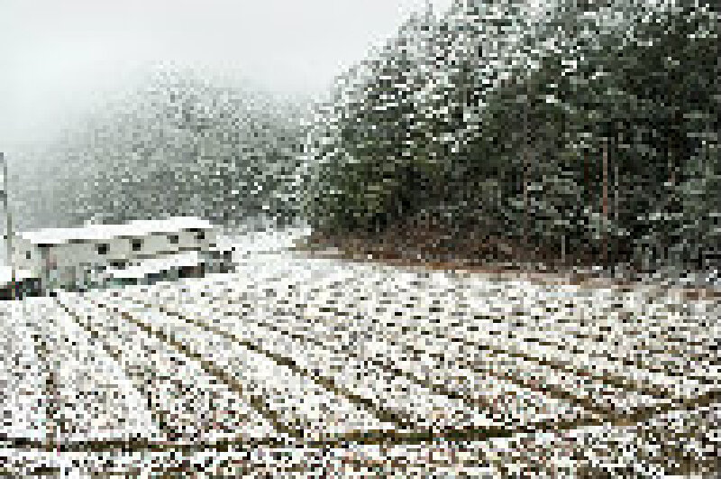 冬天去台湾旅游_台湾冬景_最新台湾旅游资讯