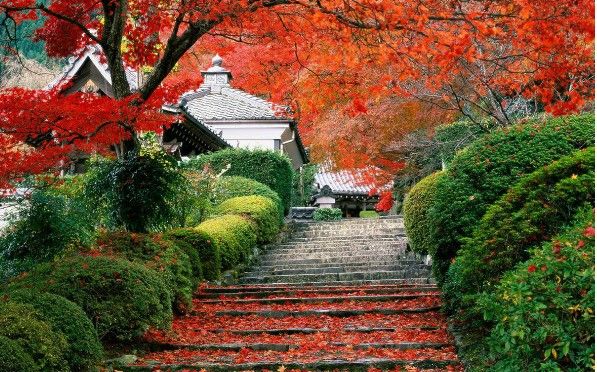 南京栖霞山枫叶节_南京栖霞山枫叶节攻略_南京栖霞山枫叶节有什么好玩