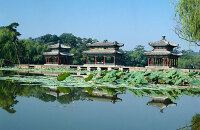 赏园林景观