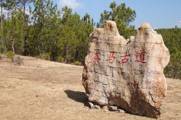 茶马古道研究的困境与焦虑，折射出寻求出路