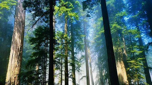  千岛湖清凉一夏森林氧吧自驾3日游>宿千岛湖梅地亚君澜度假酒店