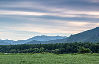 森林生态旅游节