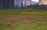 寻觅黄土高原上的绿洲