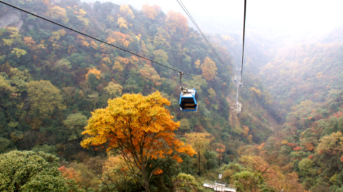 <南川金佛山-金佛寺-天星小镇1日游>含100元索道和电瓶车 纯玩零购物__出发_途牛