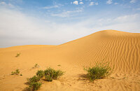 沙坡头国际旅游节