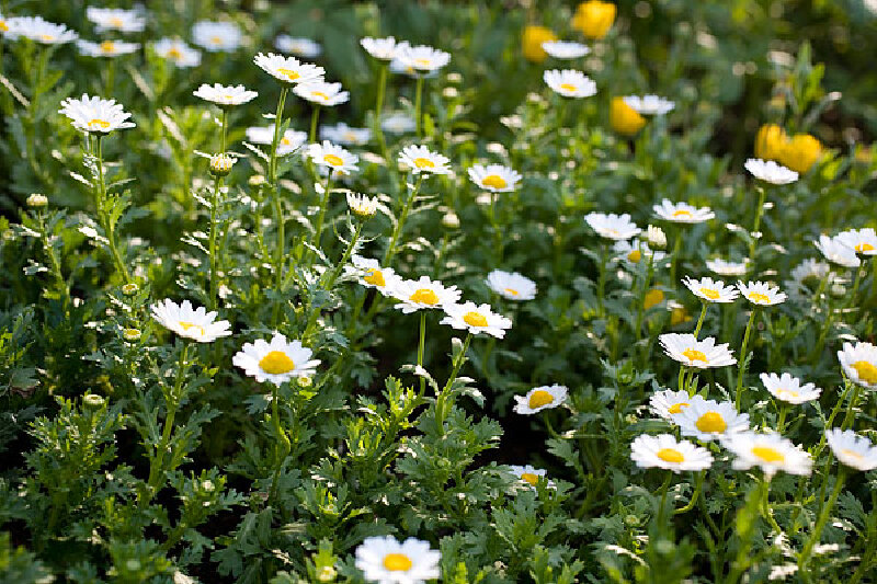 4月去非洲旅游攻略_非洲四月自由行攻略_非洲