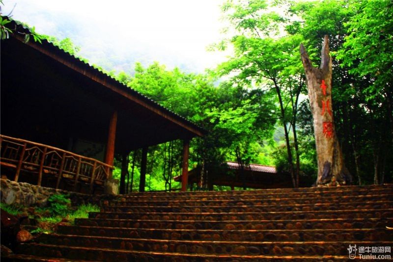 【福建】风雨兼程 忘情武夷山(万字攻略 超百靓图)_武夷山十八寨游记