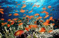 青岛水族馆
