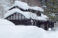 紫龙湾温泉泡温泉