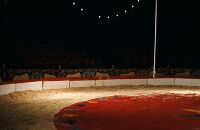 华特迪士尼世界太阳马戏团