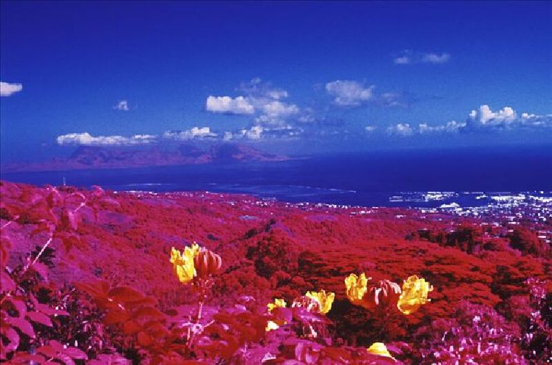 去夏威夷旅游要花多少钱_到美国夏威夷旅游费