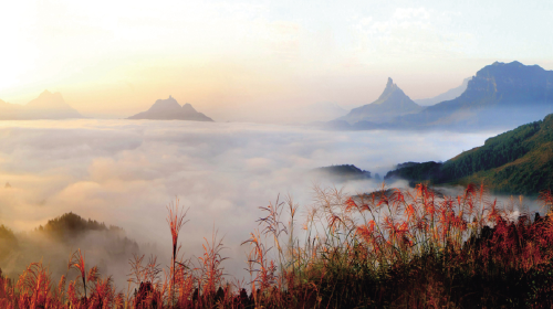 <南川金佛山-金佛寺-天星小镇1日游>含100元索道和电瓶车 纯玩零购物__出发_途牛