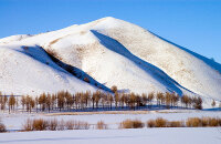 参加阿尔山国际冰雪节