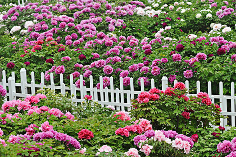 靖江到菏泽旅游攻略_靖江怎么到菏泽_菏泽游