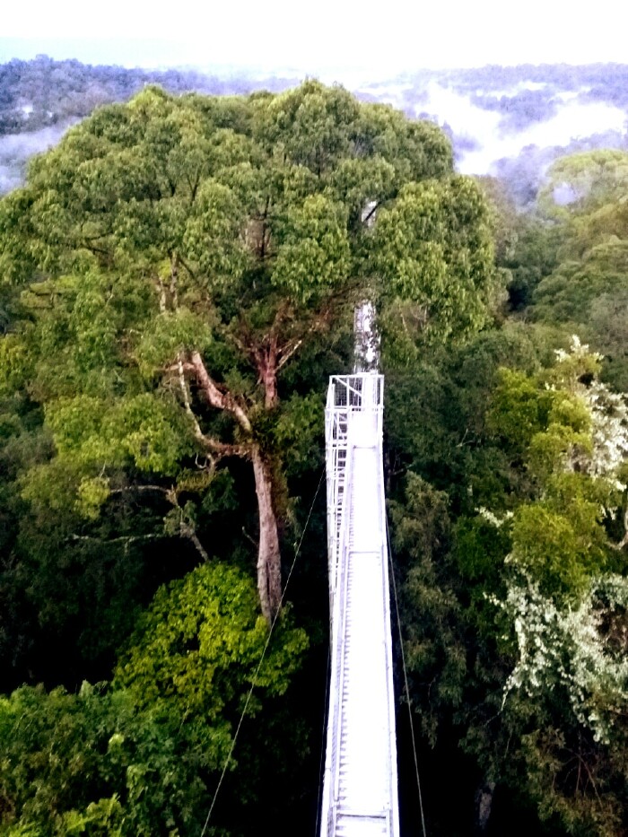 第 一章、前言 文莱,全名文莱达鲁萨兰国,又称为文莱伊斯兰教君主国 古称渤泥。14世纪中叶伊斯兰教传入,建立苏丹国。16世纪初国力最为强盛。16世纪中期起,葡萄牙、西班牙、荷兰、英国等相继入侵。1888年沦为英国保护国。1941年被日本占领。1946年英国恢复对文莱控制。1971年与英国签约,获得除外交和国防事务外的内部自治。1984年1月1日完全独立。 笫二章、行前准备 1、准备;帽子、太阳镜、摄影器材:有长焦 2、整体印象:吊桥很壮观 3、景点:登吊桥迎日出 4、推荐美食:、热带水果 5、时节信息:四