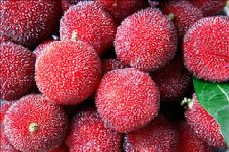 food_picture