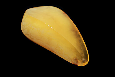 food_picture