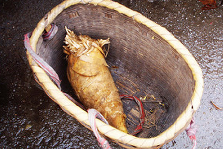 food_picture