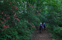 北武当九九重阳登高节