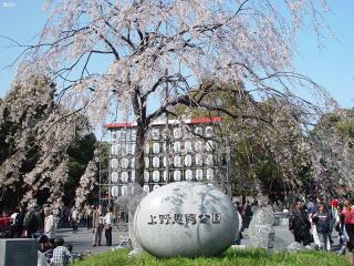 日本旅游_10月日本旅游_日本旅行社