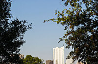 城市公园放风筝