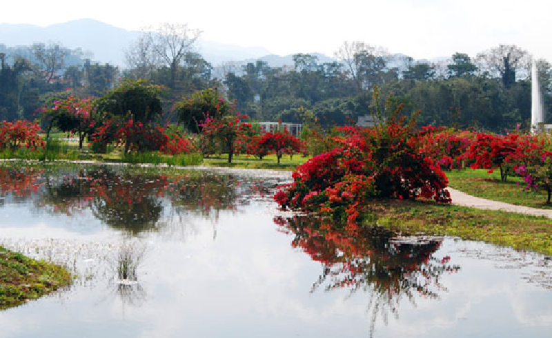 英国皇家植物园邱园_英国皇家植物园邱园介绍