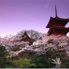 景点模块 