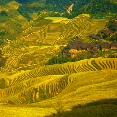景点模块 