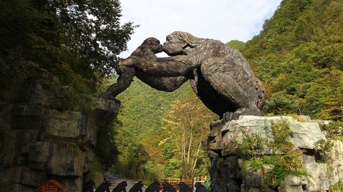 [五一] 神农架两日游>逗趣神农猴 玩转原始风 明星产品