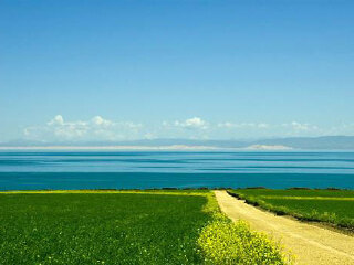 青海湖 1日游 丹葛尔古城 日月山 青海湖