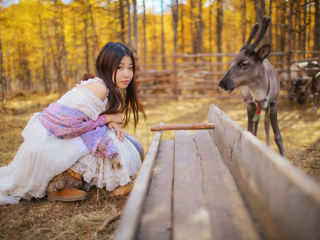 呼倫貝爾游 旅行團_呼倫貝爾最適合旅游的季節(jié)_呼倫貝爾游價格
