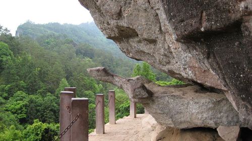 武夷山风景区 九曲溪漂流 观光车三日老年票