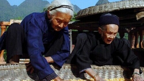  巴马水波天窗-百魔天坑-长寿村双飞4日游>探访长寿之