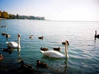 东欧斯洛文尼亚+克罗地亚+匈牙利12天游 绝美