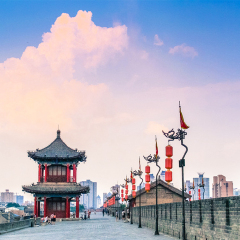活动模块 