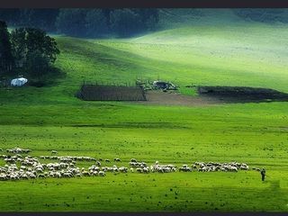 北戴河-内蒙乌兰布统大草原-避暑山庄-天津双高6日游>无购物 享蒙古