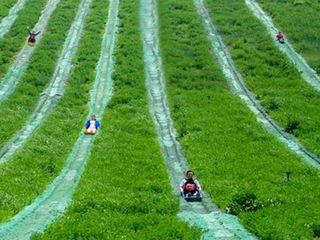 坝上草原滑草