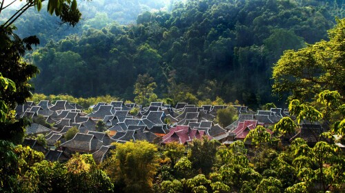  西双版纳汽车往返3晚4日游>中午发班出团,一天自由活动时间