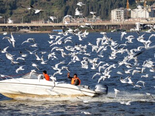 去麗江瀘沽湖報團多少錢_去麗江瀘沽湖旅游要多少錢_麗江瀘沽湖游 旅行團