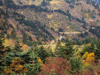 重慶三峽游花多少錢(qián)_重慶三峽旅游幾月份最合適_幾月份去重慶三峽旅游最好